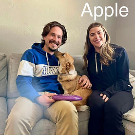 DAC333B6-3375-4668-8E04-1E31153C15CC_1_201_a.jpeg