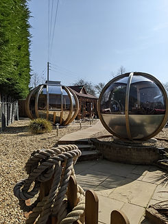 The pod garden in the sunshine