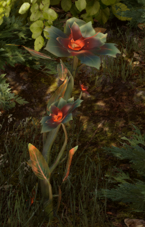 Embrium_(Inquisition)
