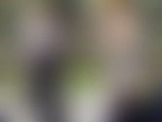 ЧТИМ ГЕРОЕВ ВЕЛИКОЙ ОТЕЧЕСТВЕННОЙ ВОЙНЫ