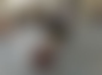 День города в УСП «ТЕХНО»