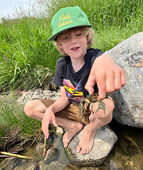 Young explorer finds a crayfish