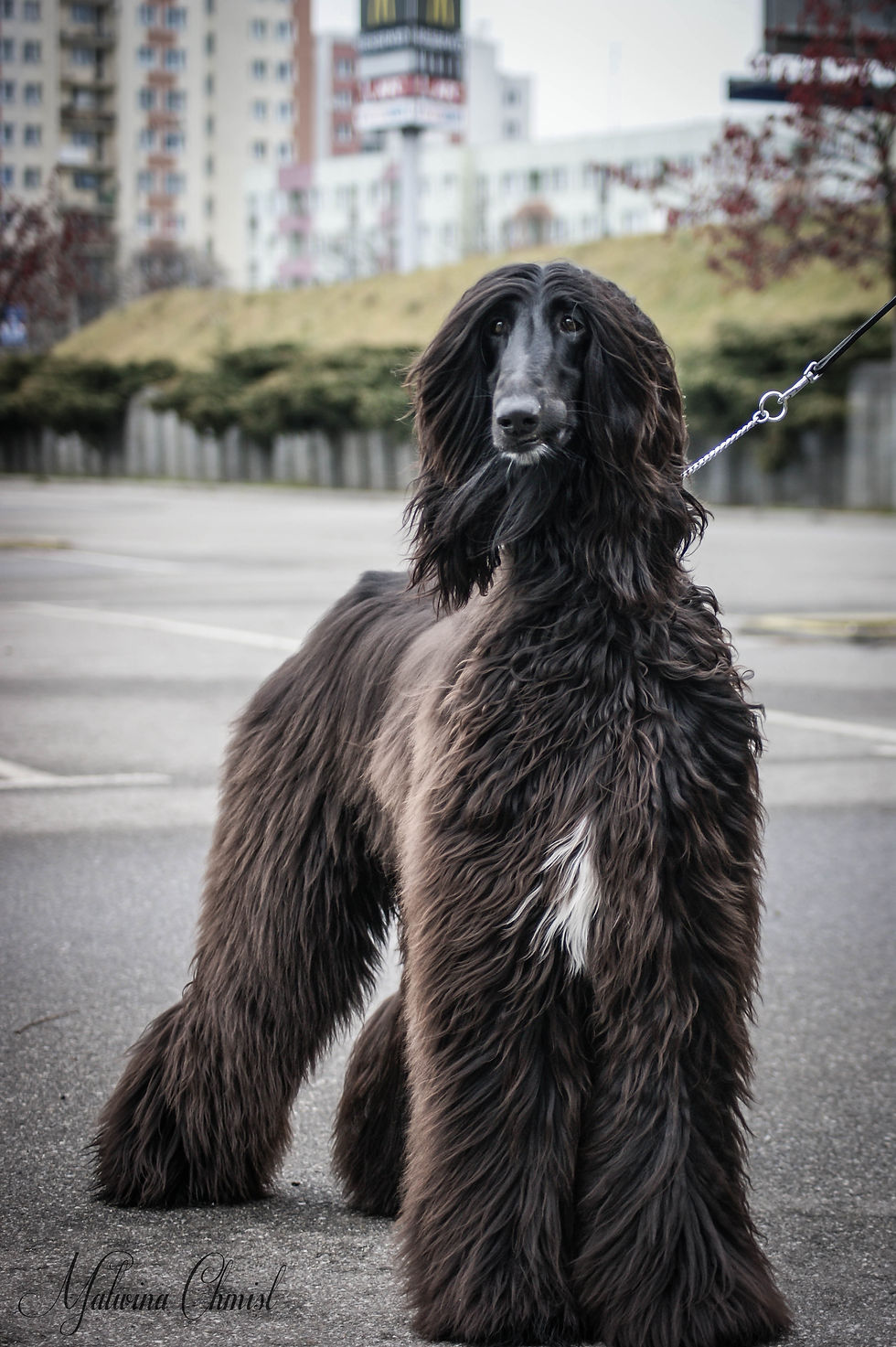12 miesięcy / 12 months