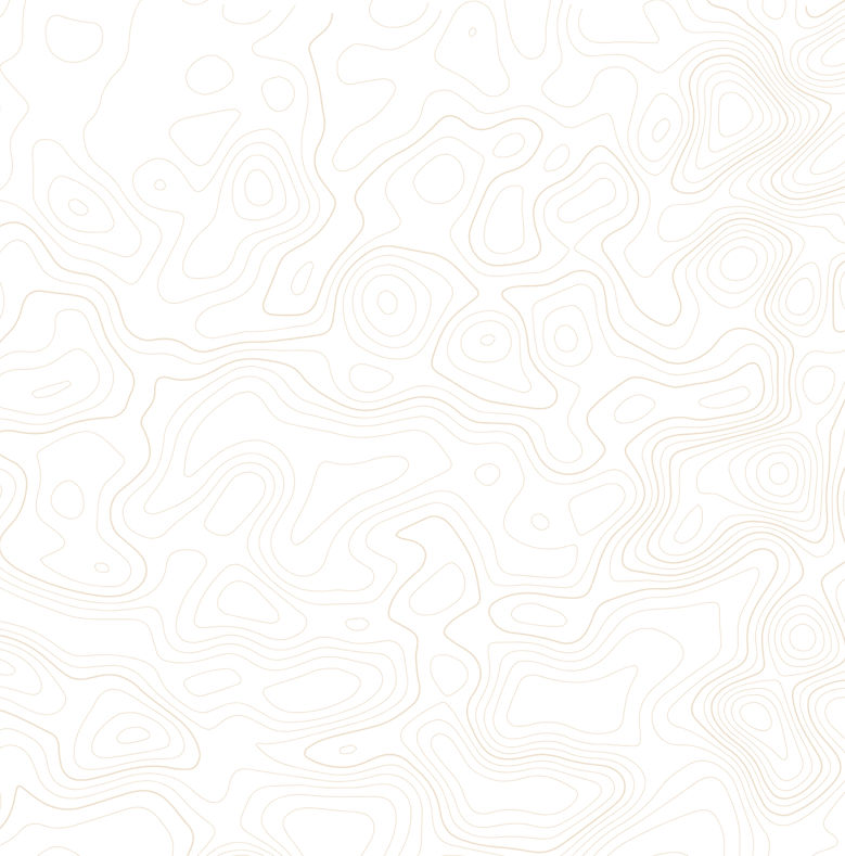 #3d4637_edited.jpg