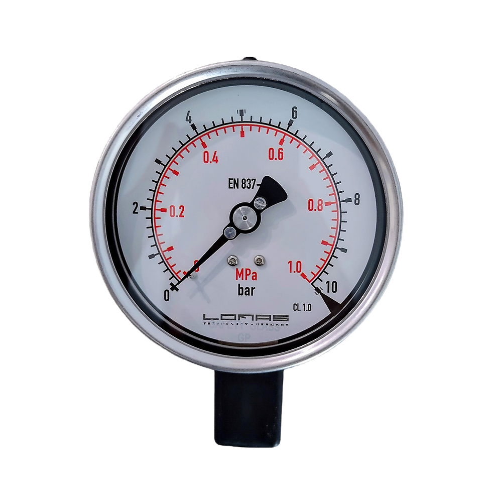 lomas-lss image high res_edited.png