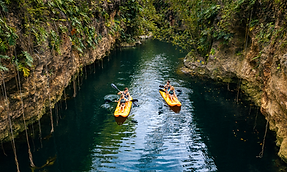 Cenote_Oasis_Maya.png