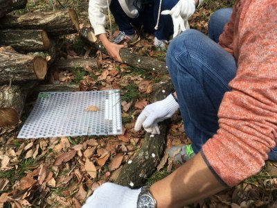 モカケガーデンファームで椎茸つくり体験