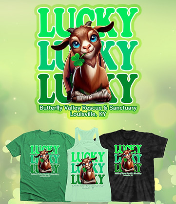 Lucky-Shirt-Banner.jpg