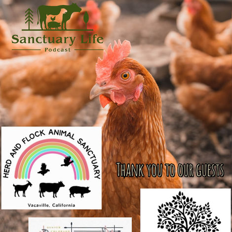 Episode 1 - Highly Pathogenic Avian Influence (H5N1) Roundtable Discussion