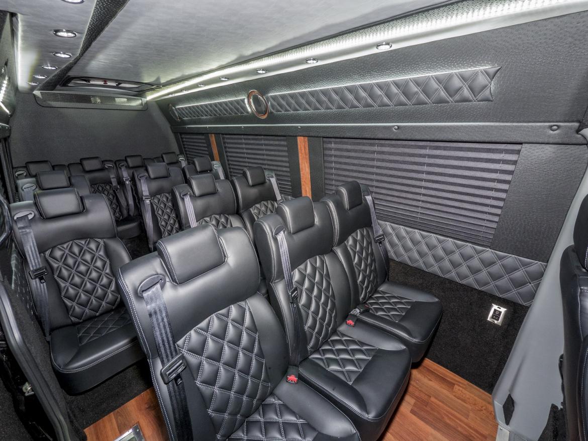 luxury 15 passenger van