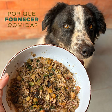 Story alimentação natural an (Post para Instagram).jpg