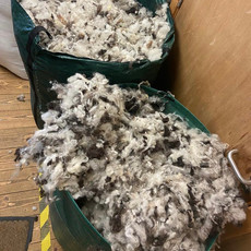 Ready to go into the picker at Uist Wool