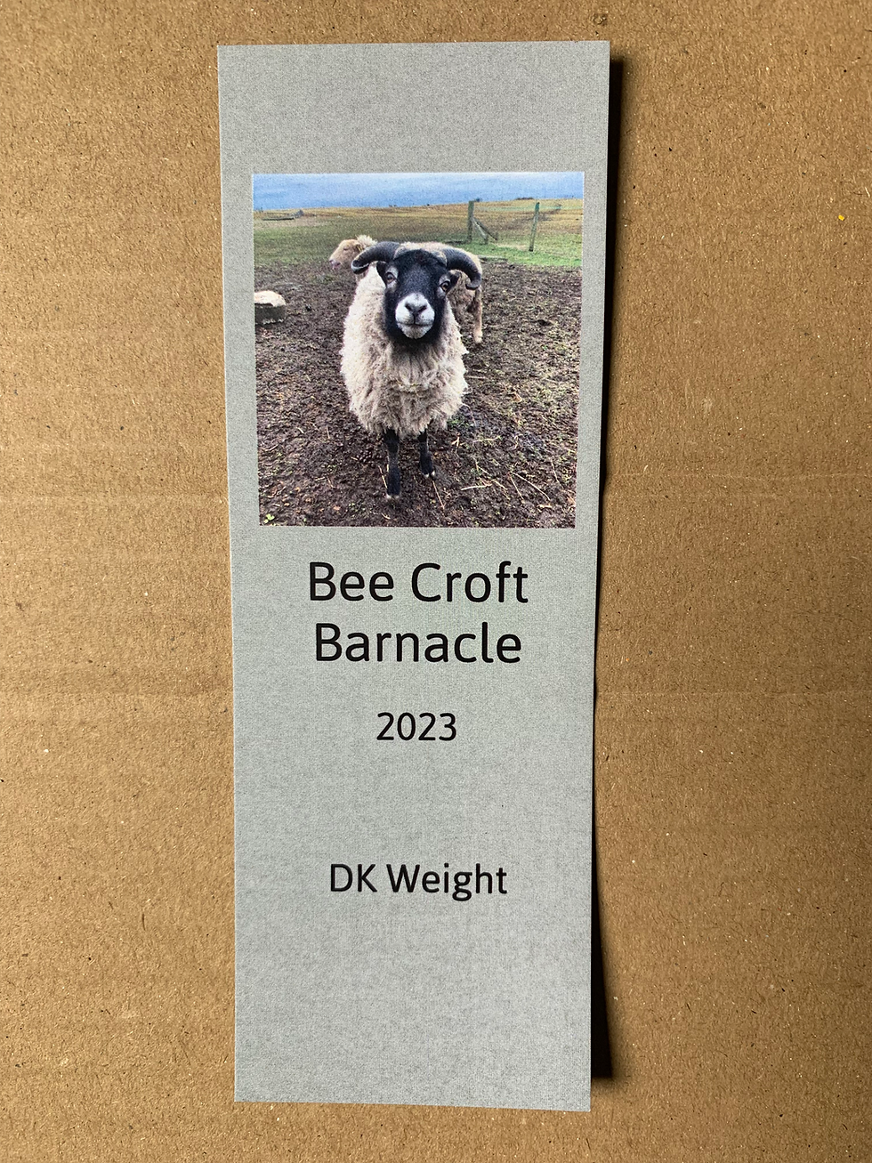 Thumbnail: Bee Croft Barnacle
