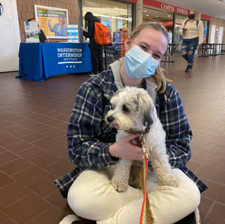 Northern Insuring's Therapy Dog Zoom