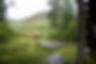 1F3A9279.jpg