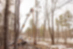 Lineman Worker