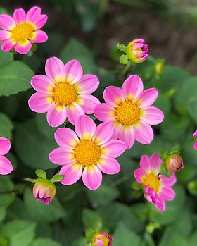 Sungates Beverly.jpg