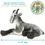 Thumbnail: Patrick The Pygmy Goat | 18 Inch Stuffed Animal Plush