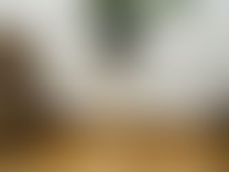 Custom Made Clear Acrylic Pedestals - Phints