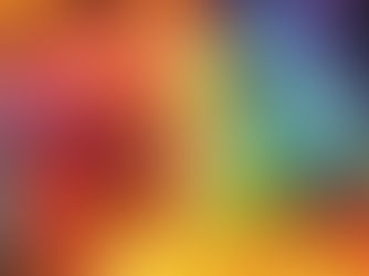 What to Expect from a Sacred Bufo Alvarius Ceremony