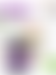 Just Keto Diet | Just Keto Diet Reviews | What Is Just Keto Diet?