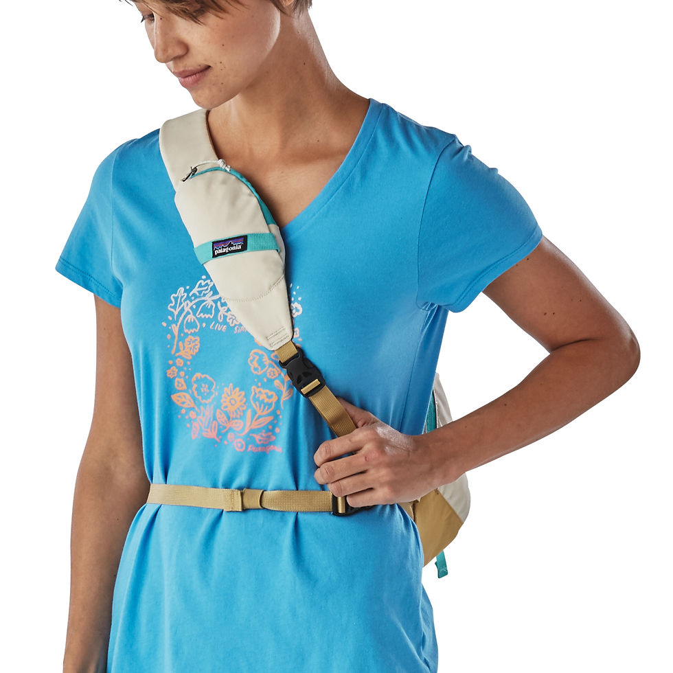 Thumbnail: PATAGONIA ATOM SLING-BLUE