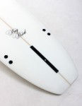 Thumbnail: ABC SURFBOARDS - Big Bird boards