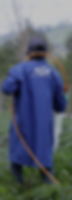 card_dgw.png