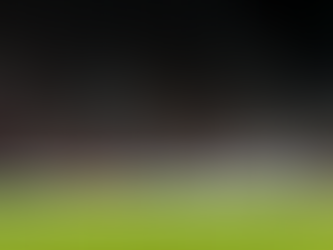 NWSL to return to action in September