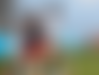 Spirit fall to Courage 2-0