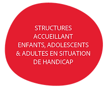 Structures accompagnant enfants, ados, adultes en situation de handicap