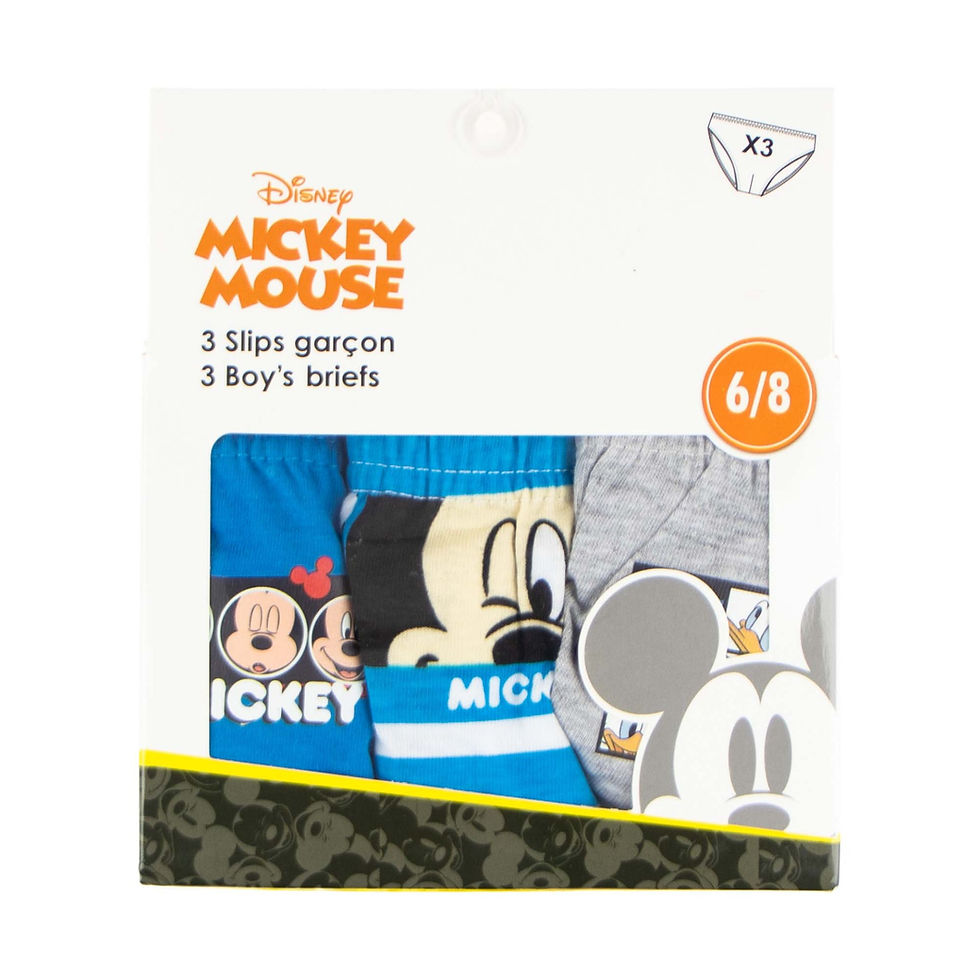 Miniature : Lot 3 slip Mickey