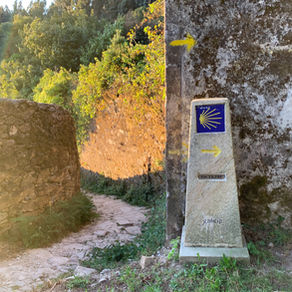 Camino de Santiago