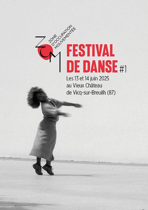 Affiche Festival de Danse Zom.jpg