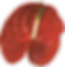 Calisto