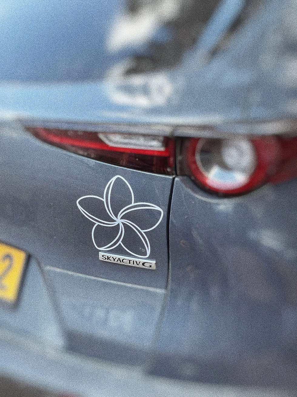 תמונה ממוזערת: Plumeria sticker 