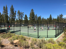 IMG_1303.jpeg