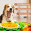 Thumbnail: Pet Hiding food Puzzle Mat