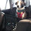 Thumbnail: Pet isolation For Cars