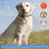 Thumbnail: Smart Pet Positioning Bell GPS Locator 
