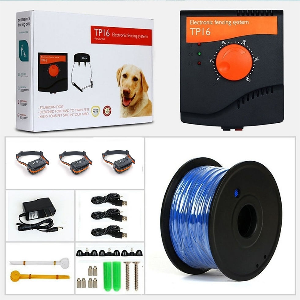 Thumbnail: Wireless Electronic Dog Fence 