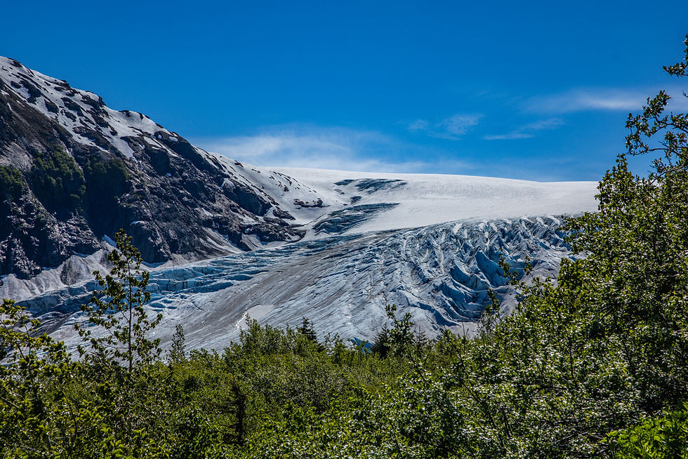 Harding Icefield Trail With Kids: Our Family Hiking Guide to Seward, Alaska