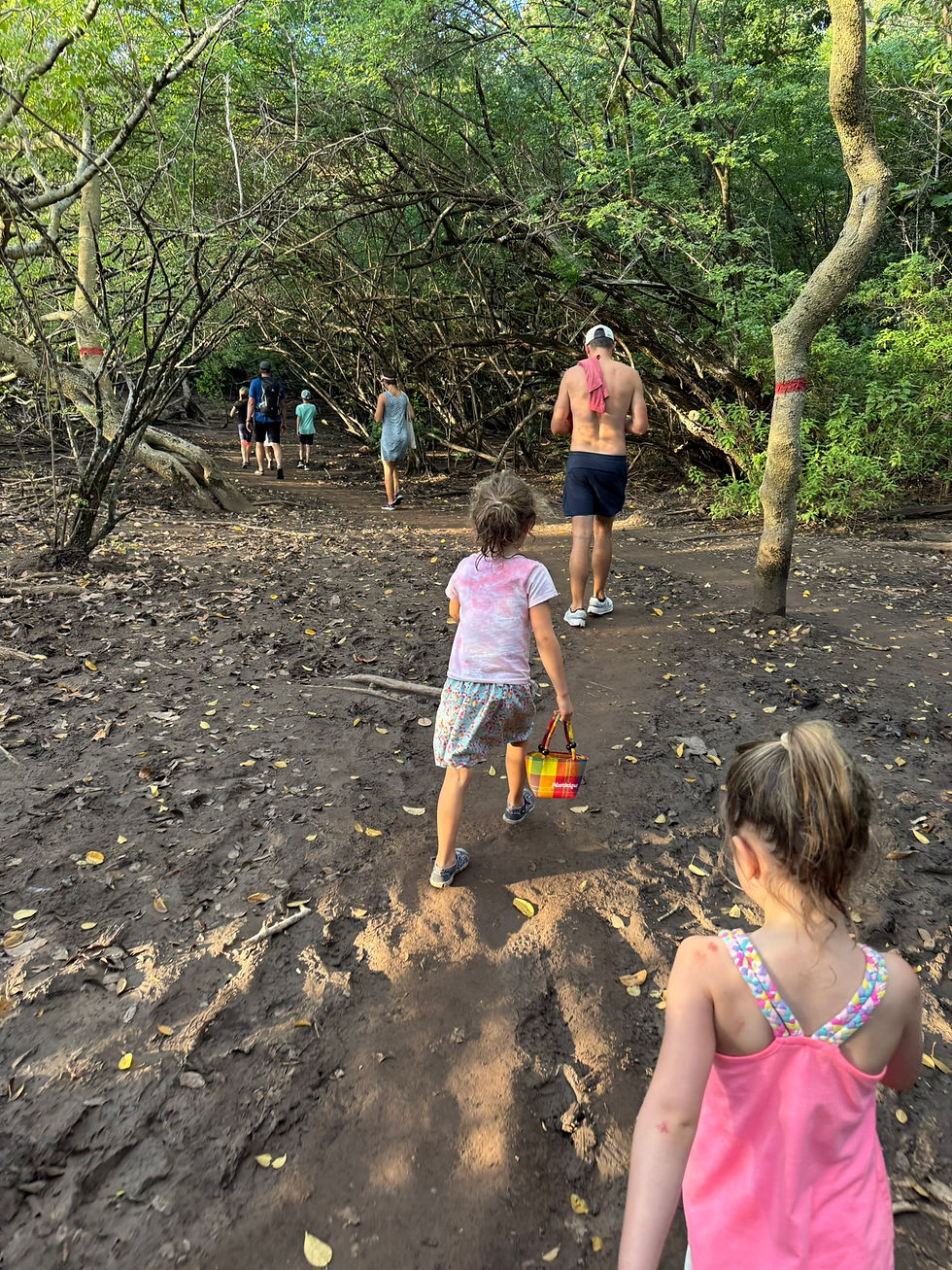 Children explore the wonders of a mangrove forest by the beach, immersing themselves in the natural world.