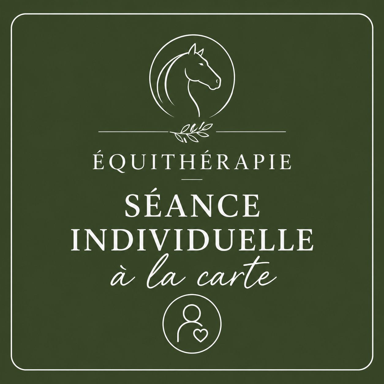 Equithérapie : séance individuelle (paiement à la séance)