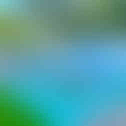 Amenities of AirBnB in Bradenton Fl : Splash pad