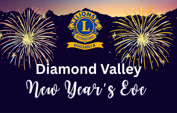 DV New Years Wix.png