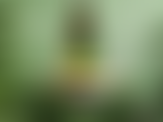 【簡單挑酒】《Raisin》評選年度最佳