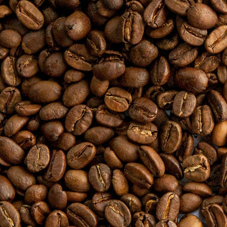 Explorando la Riqueza del Café Nicaragüense