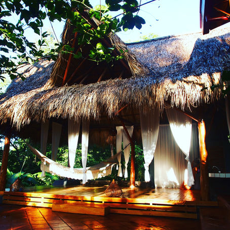 How we started Casa Marimba