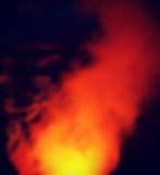 ree